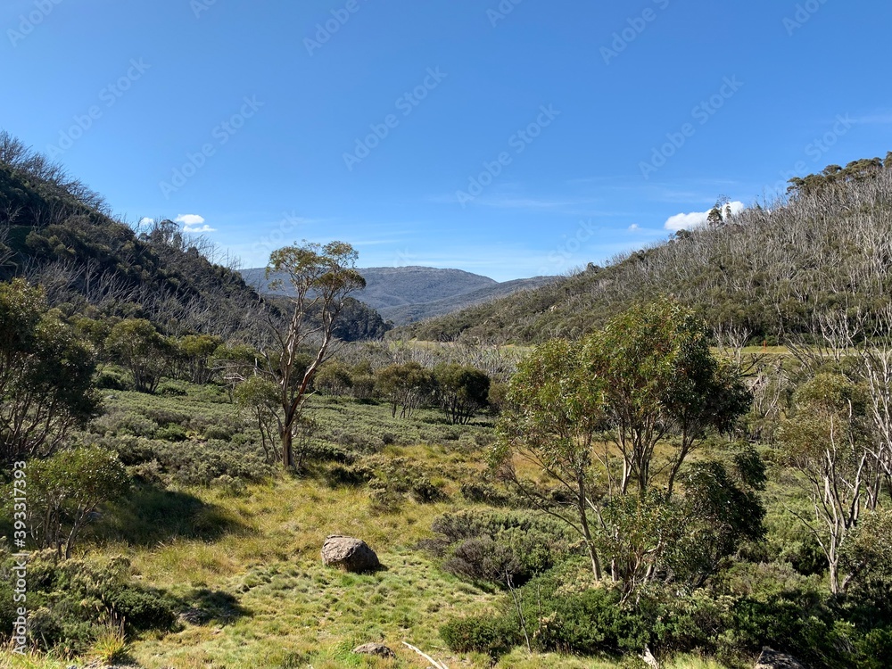 View along Guthega Road, taken March 21, 2020, near Guthega NSW, Australia