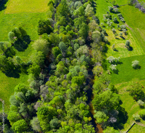 GALLERY FORESTS (Bosque de Ribera, Soto), Springtime, Ason river, Ramales, Cantabria, Spain, Europe