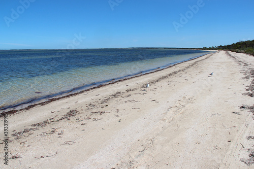 littoral on kangaroo island (australia)