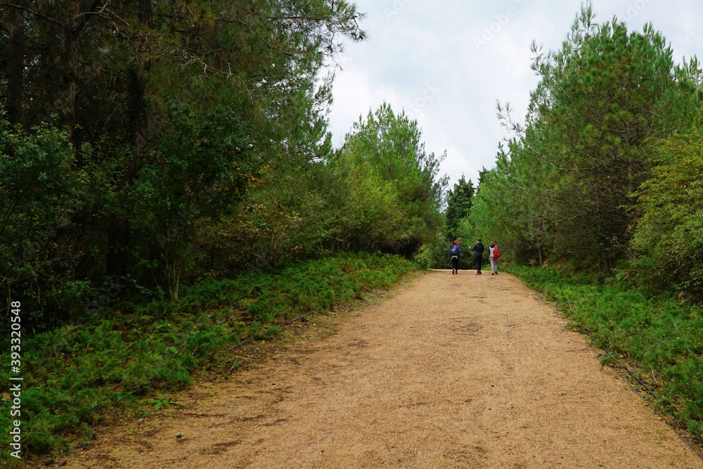 Ataturk Kent Forest is in the Sariyer district of Istanbul, Turkey.