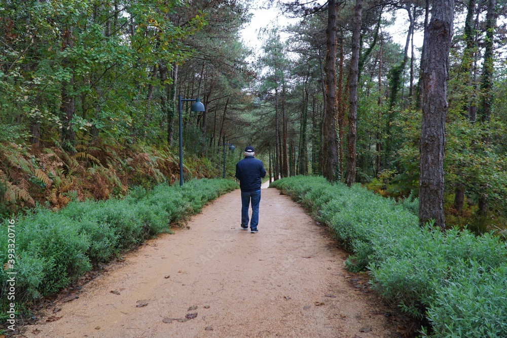 Ataturk Kent Forest is in the Sariyer district of Istanbul, Turkey. Ataturk Kent Forest is in the Sariyer district of Istanbul, Turkey.