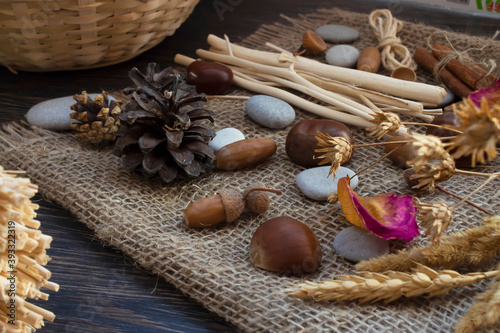 Set of natural materials for eco-design, Scandinavian style. The concept of interior decoration, children's craft, DIY handmade, pine cones, acorns, rose petals, twigs, pebbles on the burlap.