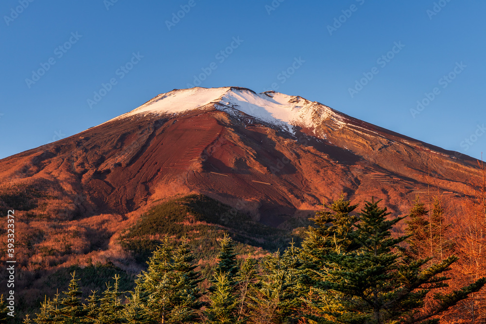 滝沢林道から朝日に染まる秋の富士山