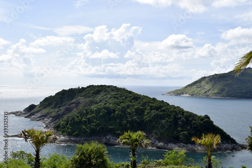 A sea landscape with an island full of small trees
