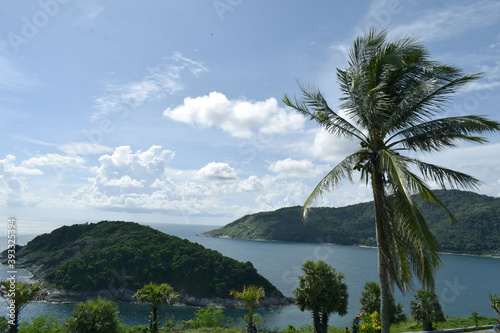 A sea landscape with an island full of small trees