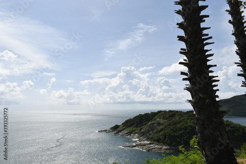 A sea landscape with an island full of small trees