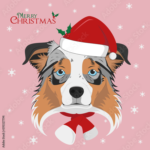 Christmas greeting card. Australian Sheperd dog with red Santa´s hat and a woolen scarf for winter
