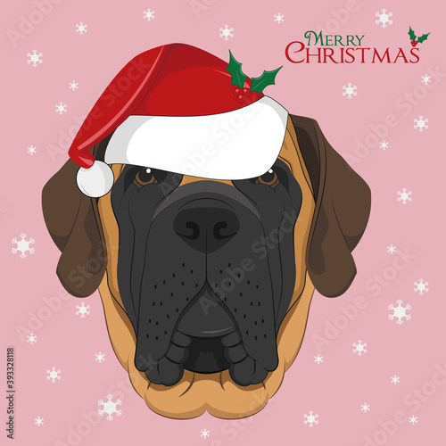 Christmas greeting card. English Mastiff dog with red Santa´s hat photo