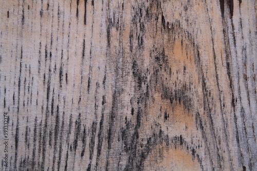 Texture, muri, legno, corteccia, metalli