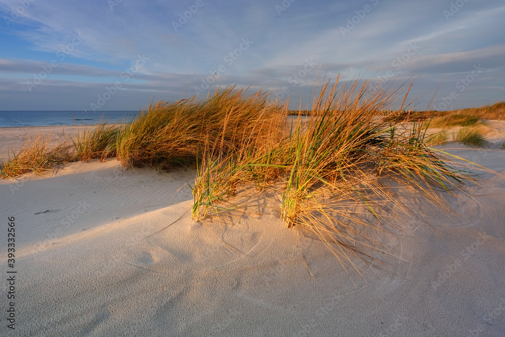 Morze Bałtyckie, plaża ,wydmy ,biały piasek,trawa,Kołobrzeg,Polska.
