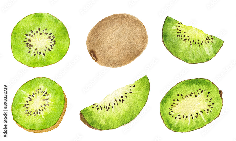 Fototapeta premium Set of watercolor kiwi fruit isolated on white background.