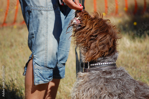 CLOSE UP OF A WOMAN EDUCATING HER DOG © RODRIGO