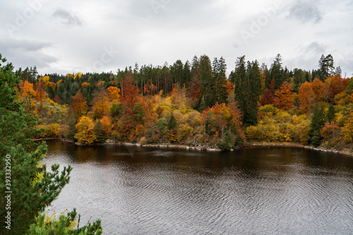 Fototapeta Naklejka Na Ścianę i Meble -  Austrian lake in Autumn