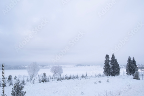 snow covered trees © Juliya Shakirova