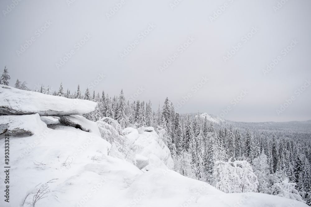 snow covered trees snow covered trees
