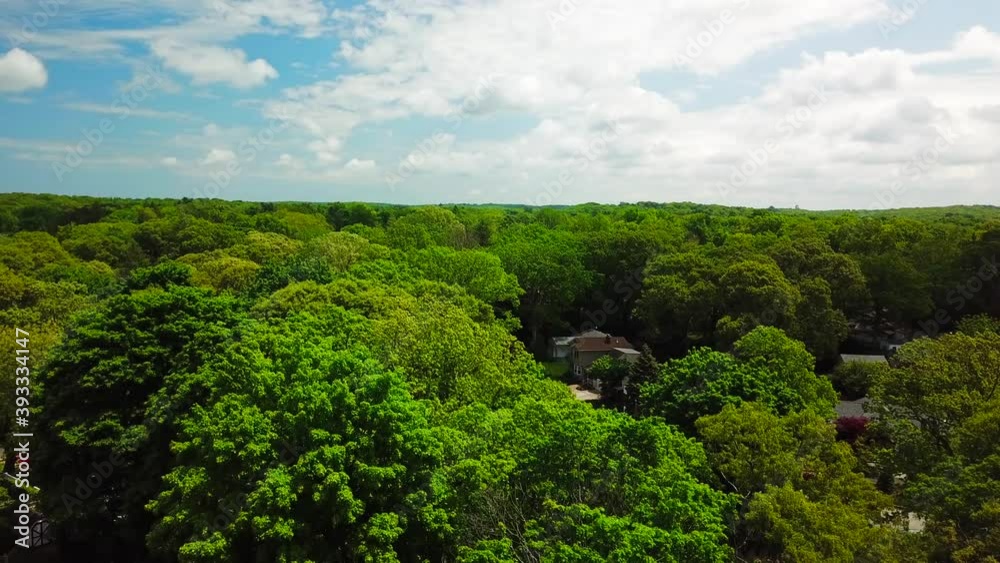 Aerial View of Tree Covered Suburban Neighborhood - Crane Shot Aerial View of Tree Covered Suburban Neighborhood - Crane Shot