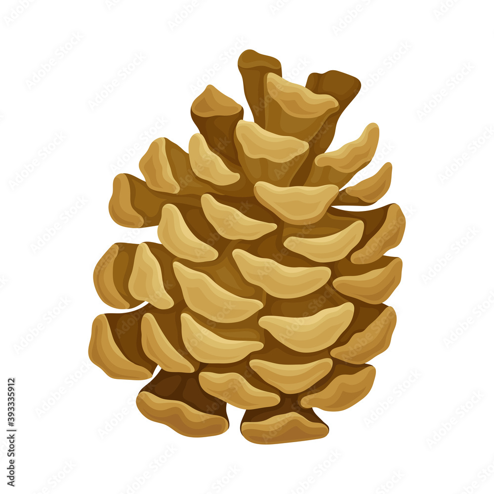 Brown Pine Cone with Spirally Arranged Scales Vector Illustration