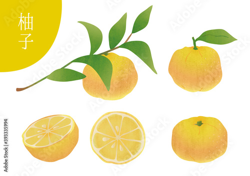 柚子のいろんな素材イラスト