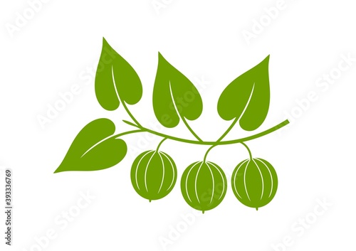 Monk fruit logo. Isolated monk fruit on white background