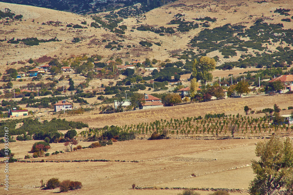 Fototapeta premium Denizli Province, rural landscape