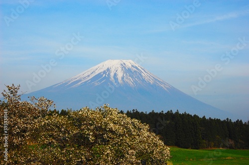 富士山