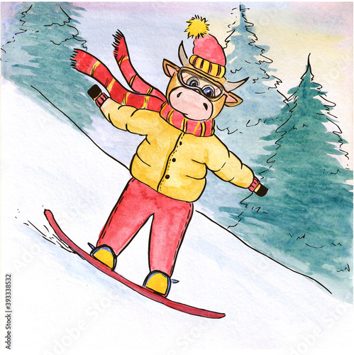 watercolor illustration of a cow on a snowboard