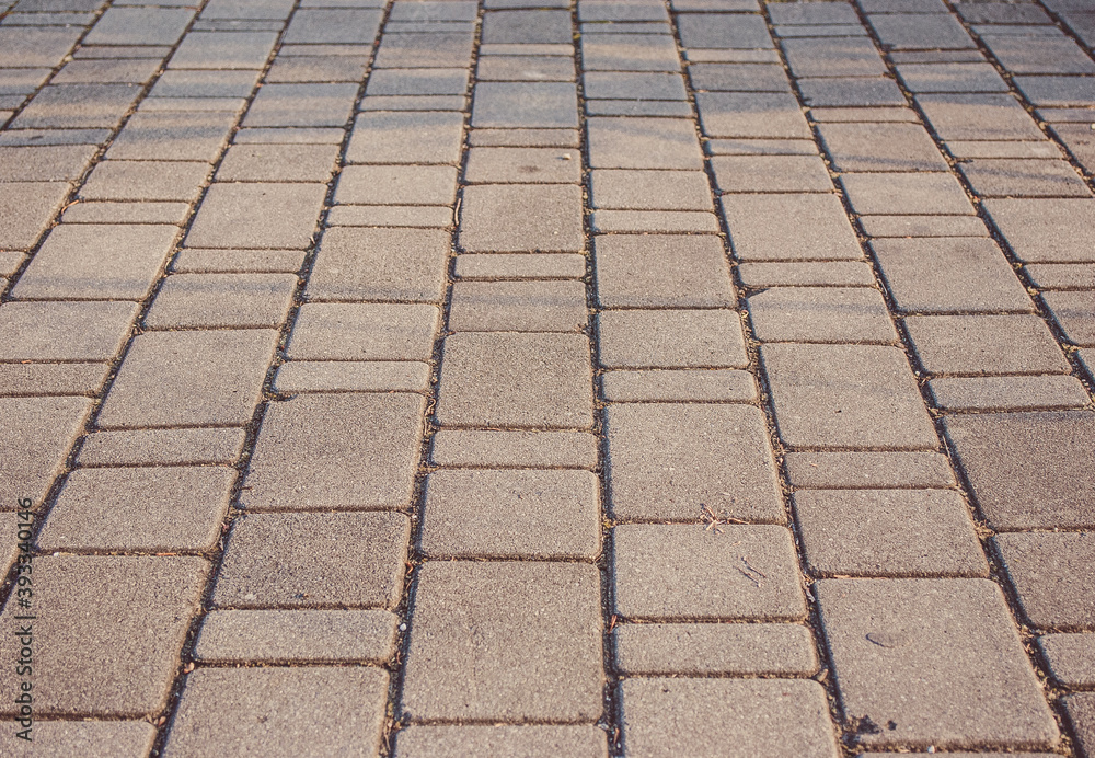 Fototapeta premium Paving stones. Stone floor. A park.