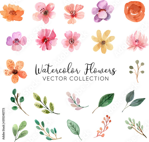 Watercolor Flowers Vector Collection