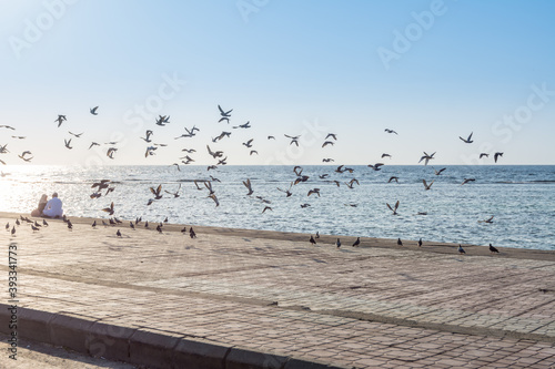 A group of pegeons flying at the Jeddah Corniche, 30 km coastal resort area of the city of Jeddah. Located along the Red Sea, features a coastal road, recreation areas, pavilions and civic sculptures