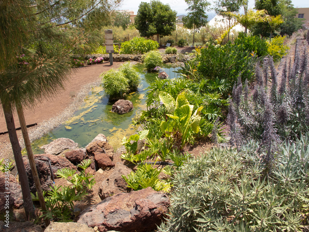 Obraz premium Isla de Tenerife, Islas Canarias. Landscapes, fauna and flora.