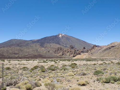 Isla de Tenerife  Islas Canarias. Landscapes  fauna and flora.