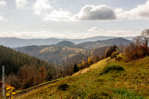 Fototapeta Naklejka Na Ścianę i Meble -  nature in mountains in Romania