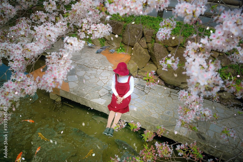 Canvas Print Japanese woman is sitting under the Sakura tree