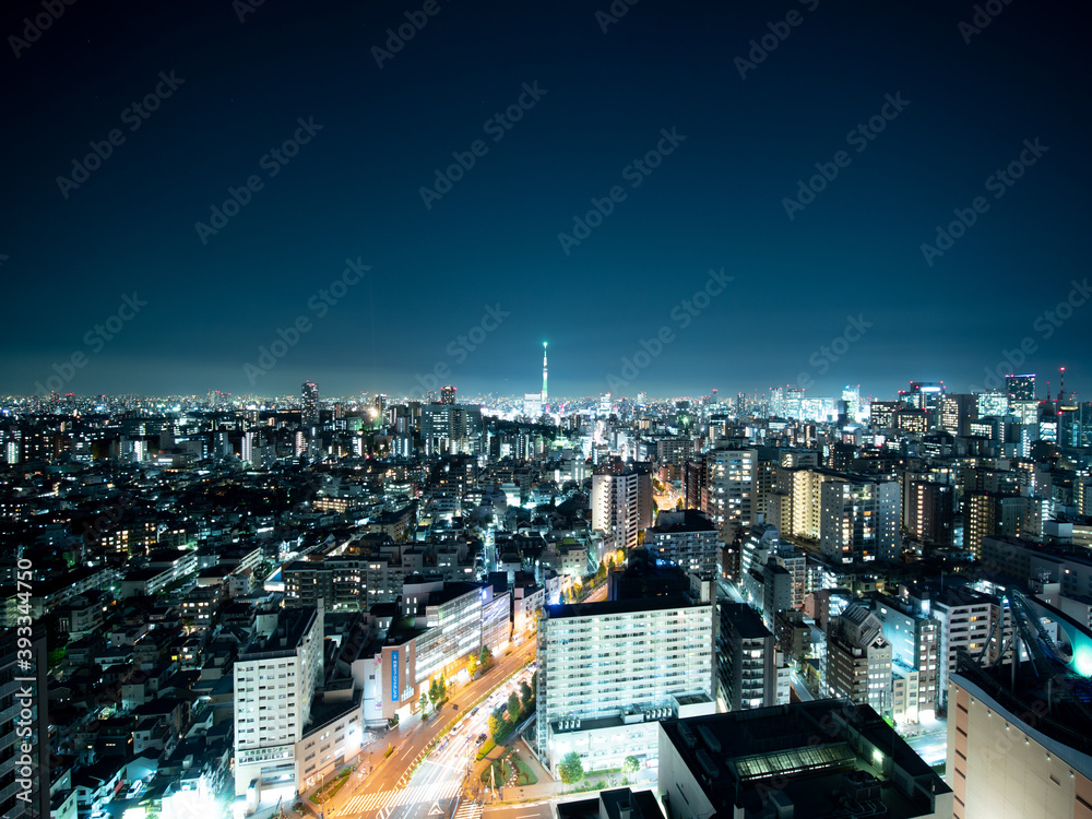 Obraz premium 東京の夜景 文京シビックセンターからの風景