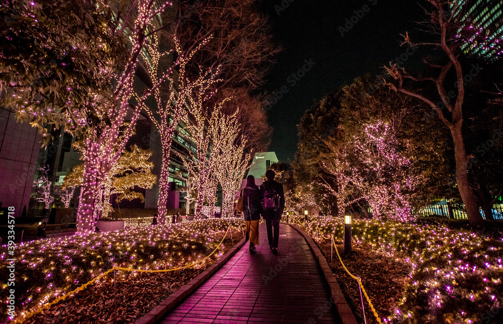 People walking on a garden with artificial lights in Tokyo Japan People walking on a garden with artificial lights in Tokyo Japan
