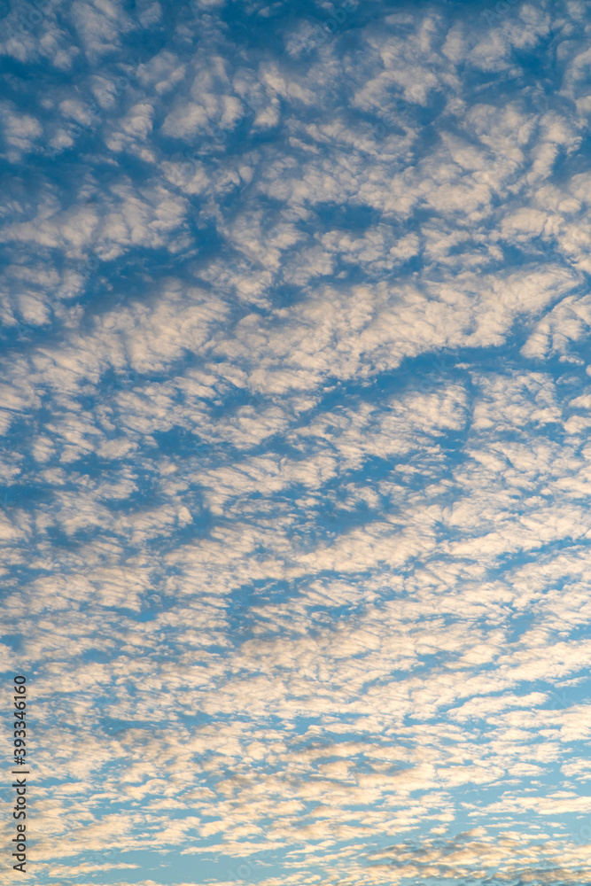 Fototapeta premium altocumulus clouds at sunny day. cloudscape in morning sky.