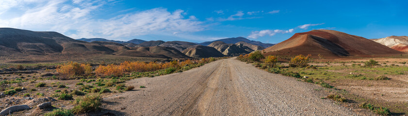 Papier peint photo Pantone 2025 Mocha Mousse Dirt road to the mountains, wide panorama  © Vastram