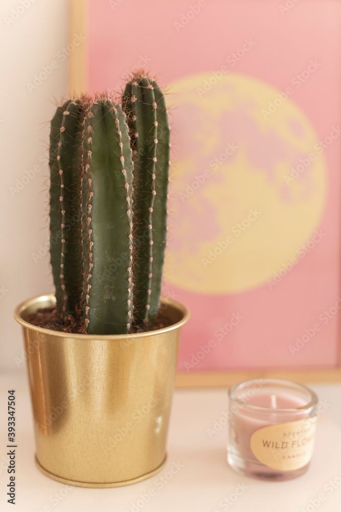 cactus interior decoracion