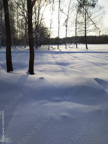 Trees, ground, snow. Sunny day. Winter landscape. New Year's time. There is a lot of snow outside. Forest zone. Soft, white, fluffy snow. Background for the screen.