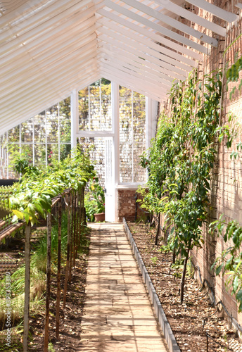 A traditional glass greenhouse