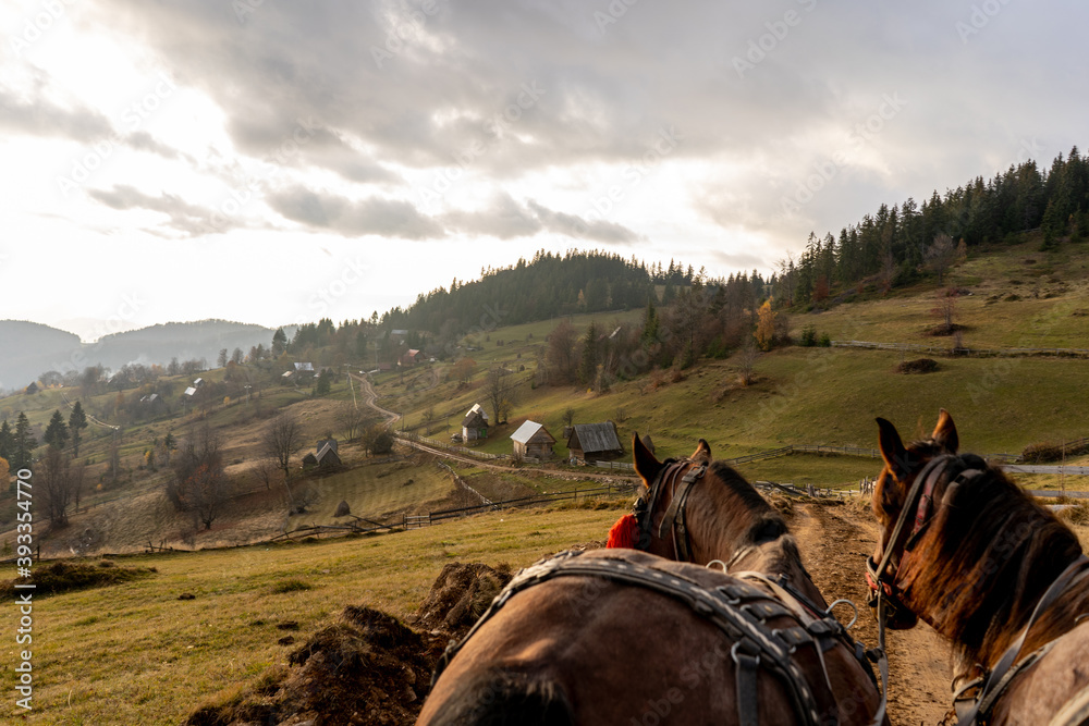 Horse Carriage in romania mountains
