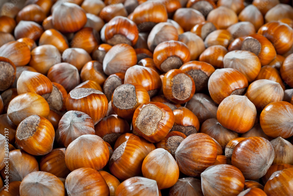 Hazelnuts on a pile close up. Texture of dried brown nuts. Hazelnuts on a pile close up. Texture of dried brown nuts.