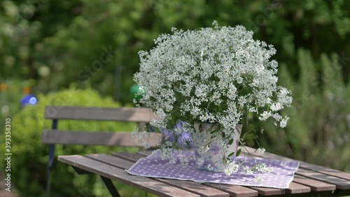 beautiful english style landscape garden with blooming Silverfog – Euphorbia hypericifolia mooving slowly in the wind  with wooden garden furniture, boxwood plants and colourful flower bed at the back