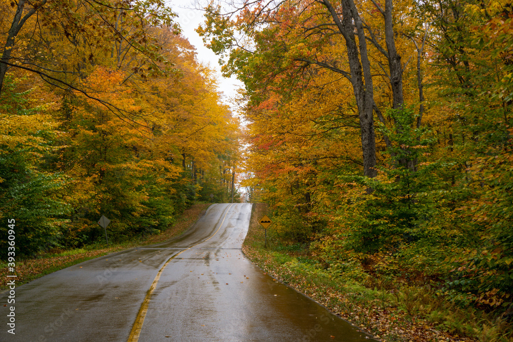 Fototapeta premium Killbear Provincial Park, a small park with typical Georgian bay landscape: lake Huron, beautiful autumn foliage and rocky outcrop of the Canadian Shield