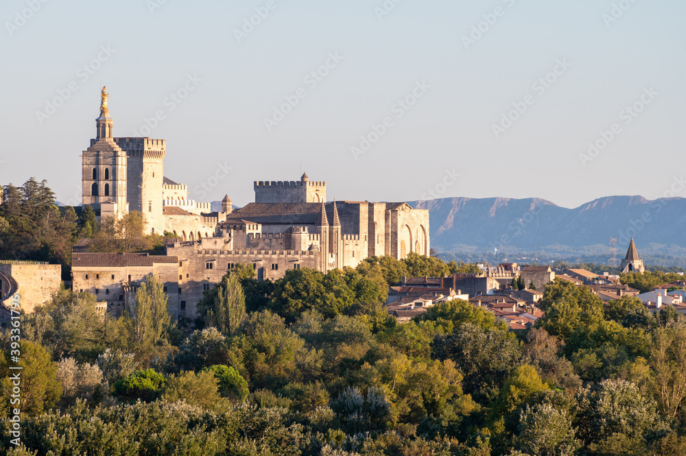 Panoramic view on old walls and palace of popes in ancient city Avignon, South of France