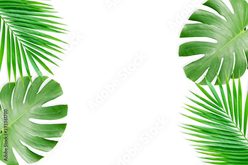 Real tropical leaves set pattern backgrounds on white.flat lay