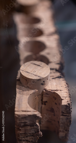 Fototapeta Naklejka Na Ścianę i Meble -  Traditional way of making cork stoppers for wine bottles from cork oak tree