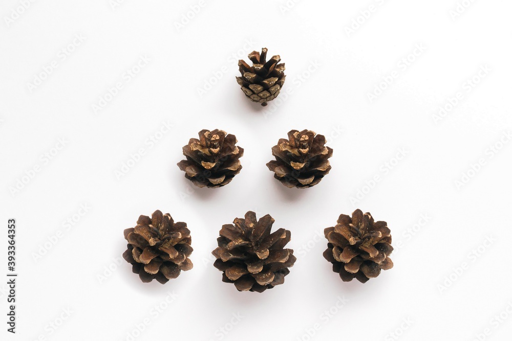 Composition in the form of Christmas tree from pine cones. Christmas and New year concept. Composition in the form of Christmas tree from pine cones. Christmas and New year concept.