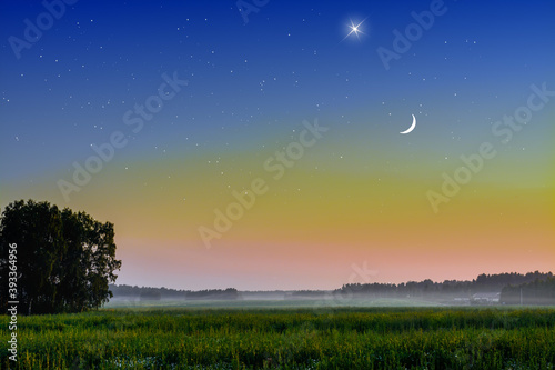 Moon and Venus in the forest predawn fog