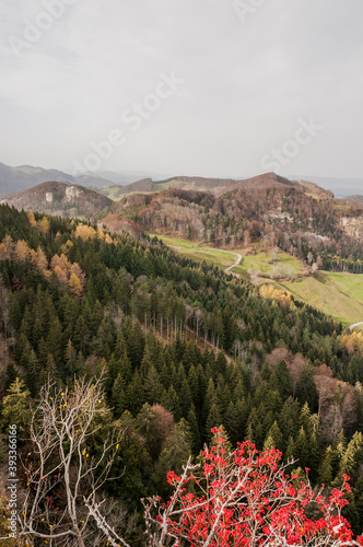 Belchen, Bölchen, Bölchenflue, Chilchzimmersattel, Ankenballen, Steinenberg, Geissflue, Wanderweg, Felsgipfel, Läufelfingen, Jura, Baselland, Herbst, Schweiz photo